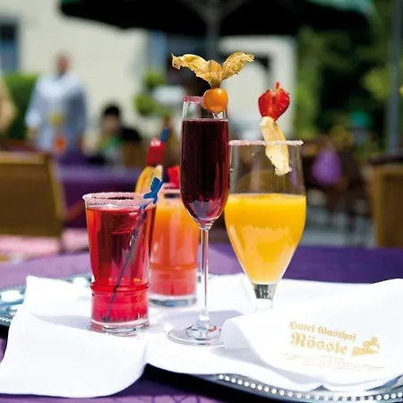 Roessle 3* Rottenburg am Neckar
